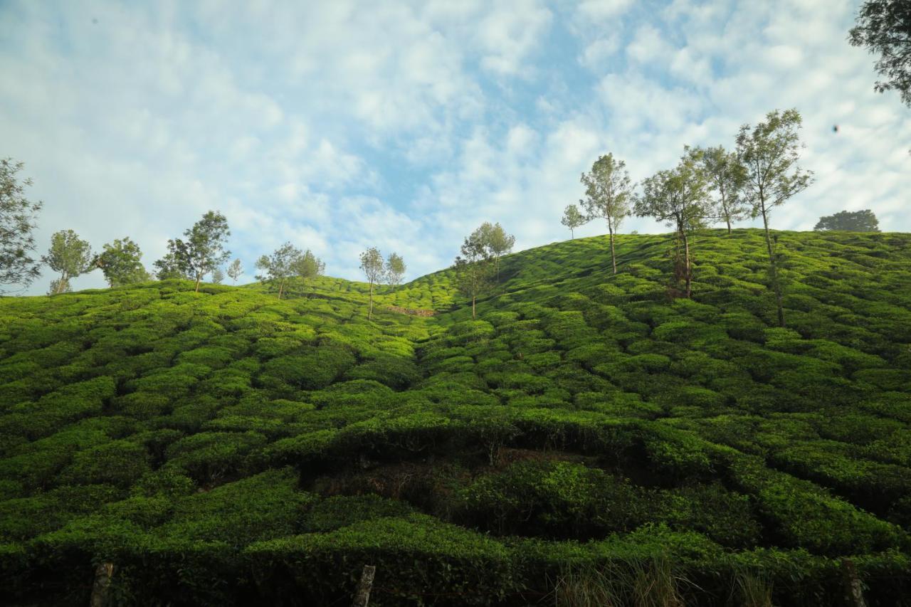 Casa Montana Munnar Hotel Exterior photo